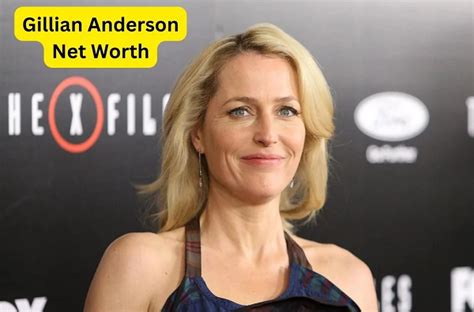 gillian anderson vermögen|Gillian Anderson Net Worth